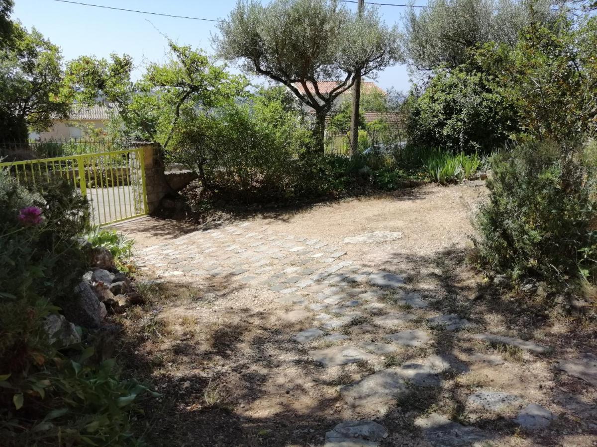 T2 36 M2, Rdc De Villa, Clim, Gd Jardin Clos, Animx Ok, Quartier Mt Faron Tres Calme, Wifi, Parking Tolón Exterior foto